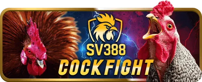 Tin tức đá gà tai88vin