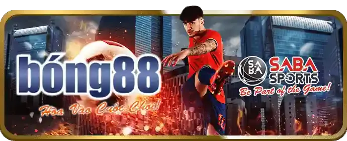 Hỗ trợ khách hàng tai88vin